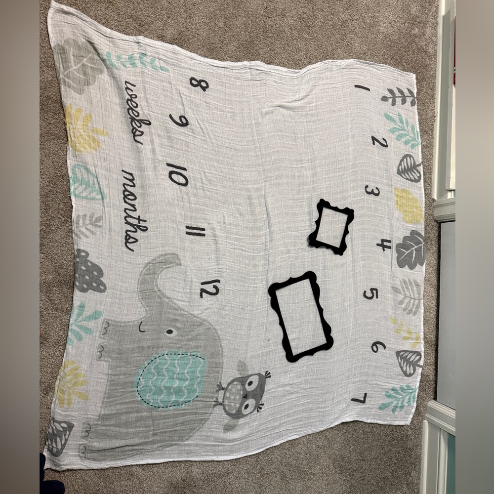 Gray and Teal Elephant Milestone Baby Blanket